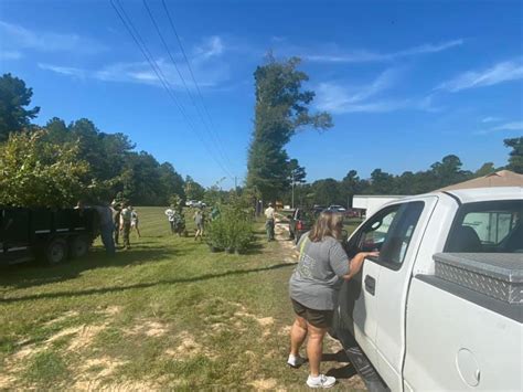 polk county tree services.